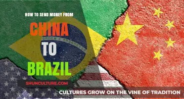 Efficient Ways to Transfer Money from China to Brazil