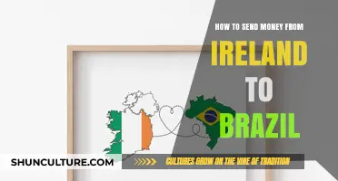 Efficient Ways to Transfer Money from Ireland to Brazil Easily