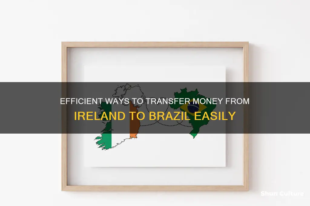 how to send money from ireland to brazil