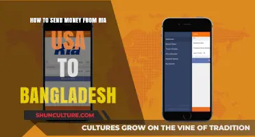 Send Money from USA to Bangladesh with Ria: A Step-by-Step Guide