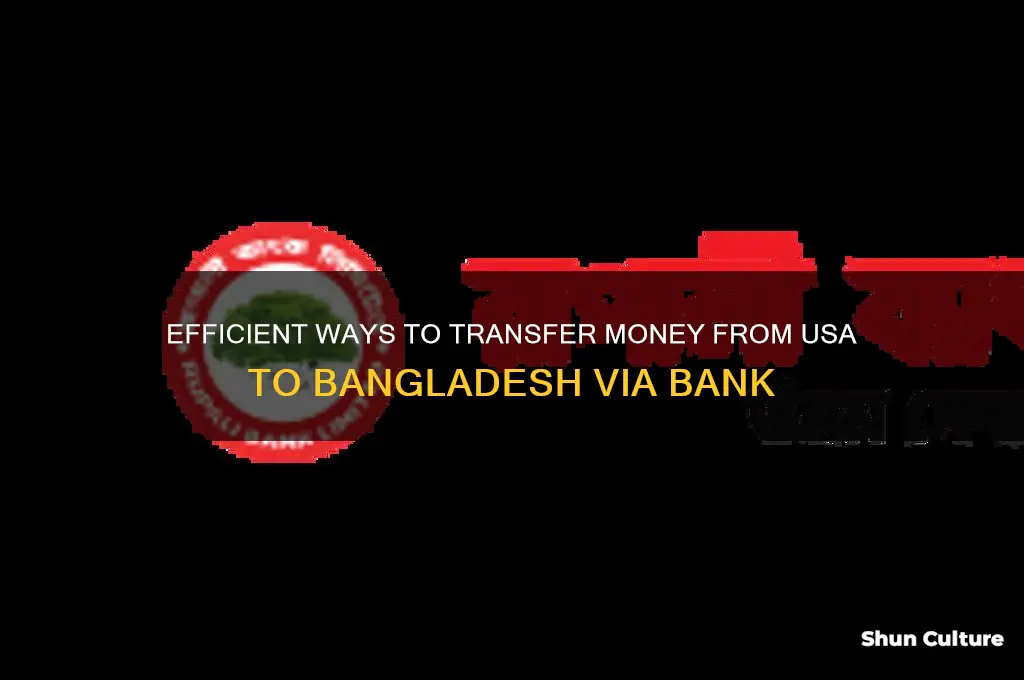 how to send money from usa to bangladesh through bank