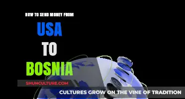 Efficient Ways to Transfer Money from USA to Bosnia
