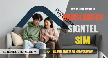 Send Money Easily in Bangladesh Using Signtel SIM: A Step-by-Step Guide