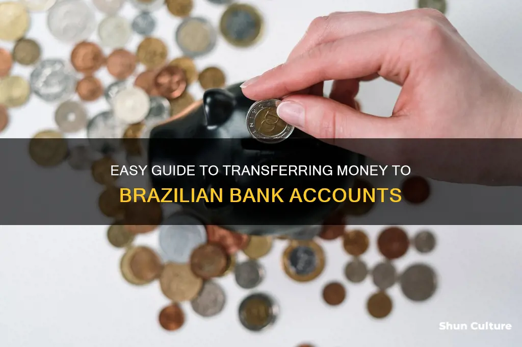 how to send money to a bank account in brazil