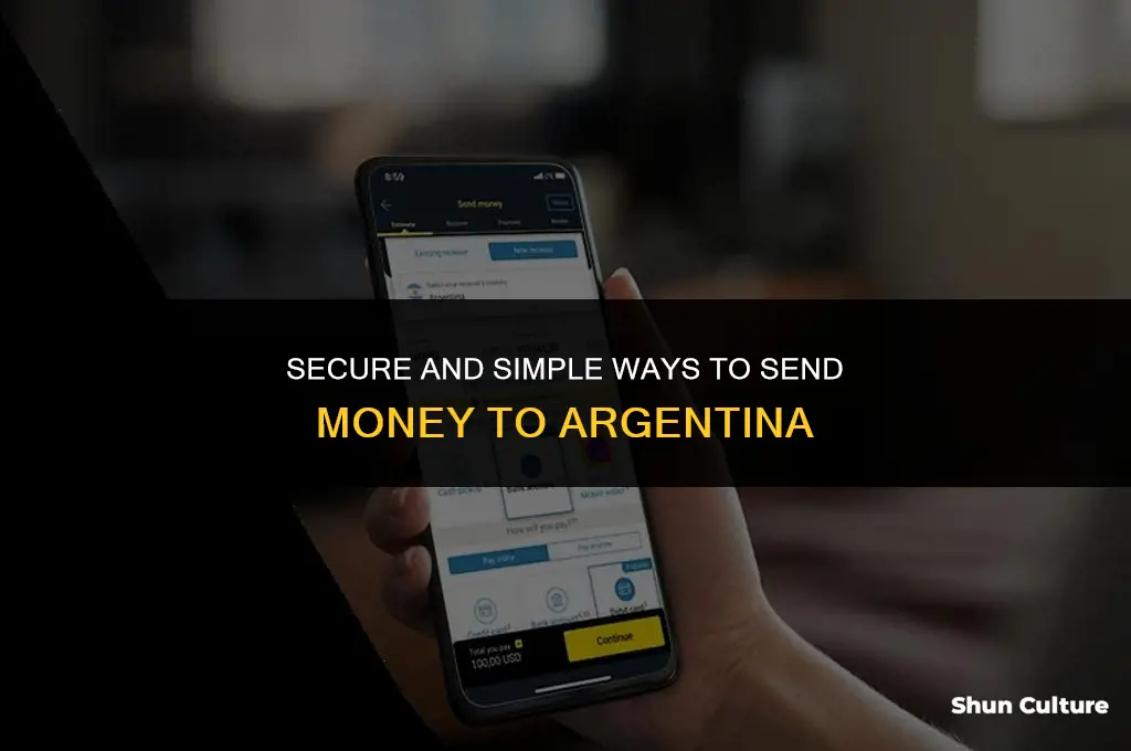 how to send money to argentina