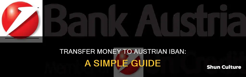 how to send money to austrian iban