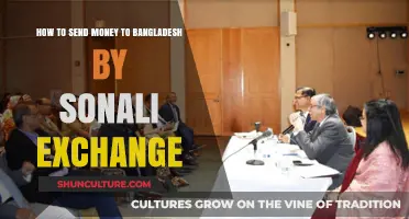 Send Money to Bangladesh Easily with Sonali Exchange: A Guide