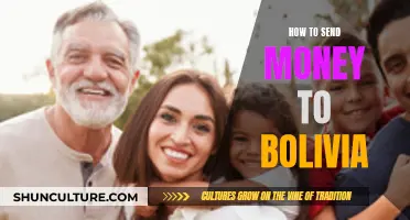 Sending Money to Bolivia: A Quick Guide