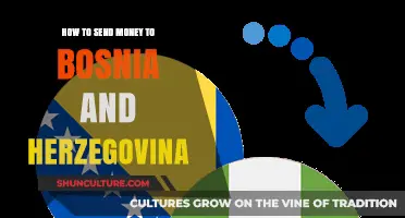 Efficient Ways to Send Money to Bosnia and Herzegovina
