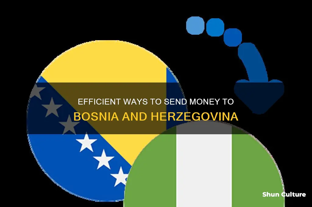 how to send money to bosnia and herzegovina