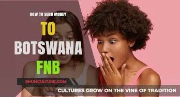 How to Send Money to Botswana via FNB: A Step-by-Step Guide