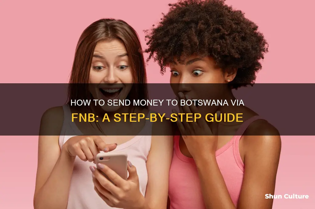 how to send money to botswana fnb
