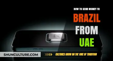 Efficient Ways to Transfer Money from UAE to Brazil Easily
