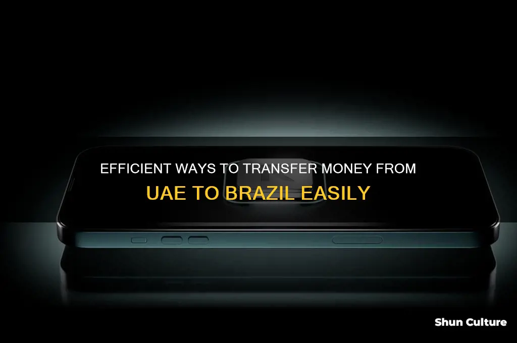 how to send money to brazil from uae