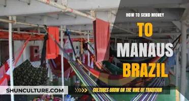 Efficient Ways to Transfer Money to Manaus, Brazil: A Comprehensive Guide