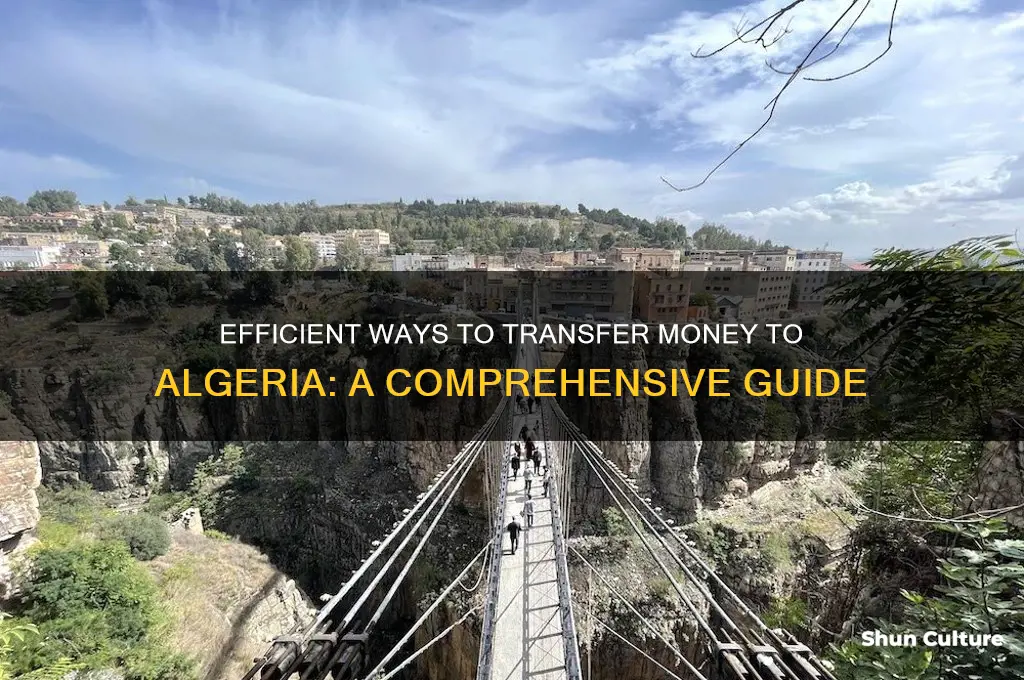 how to send money to someone in algeria
