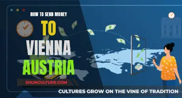 Sending Money to Vienna, Austria: A Quick Guide