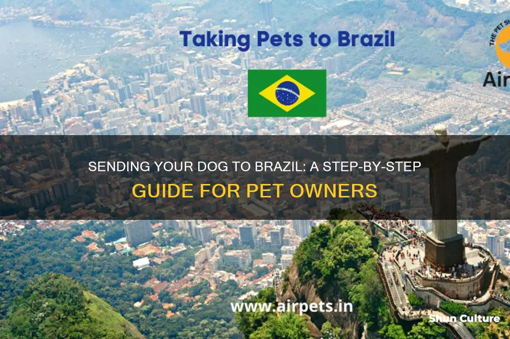 how to send my dog to brazil
