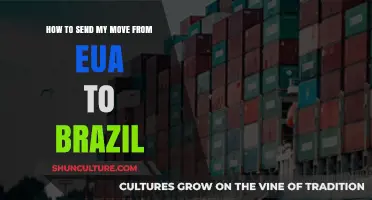 Moving from the USA to Brazil: A Step-by-Step Relocation Guide