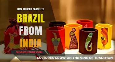 Shipping Made Easy: How to Send Parcels from India to Brazil