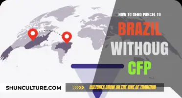 Shipping to Brazil: A Guide to Sending Parcels Without CFP