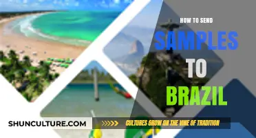Shipping Samples to Brazil: A Comprehensive Guide for Smooth Delivery
