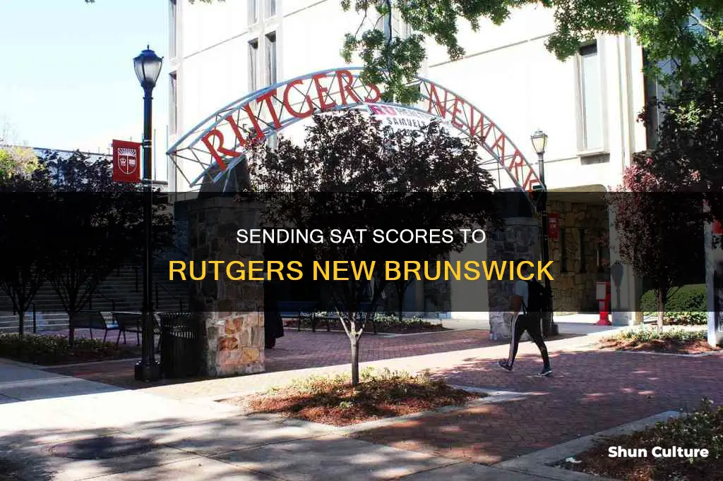 how to send sat scores to rutgers new brunswick