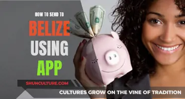 Sending Money to Belize? There's an App for That