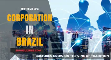 Step-by-Step Guide to Establishing a Corporation in Brazil