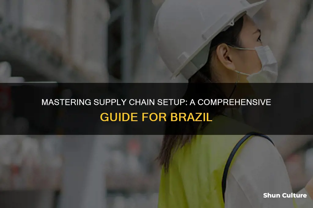 how to set up a supply chain in brazil