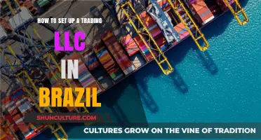 Step-by-Step Guide to Establishing a Trading LLC in Brazil
