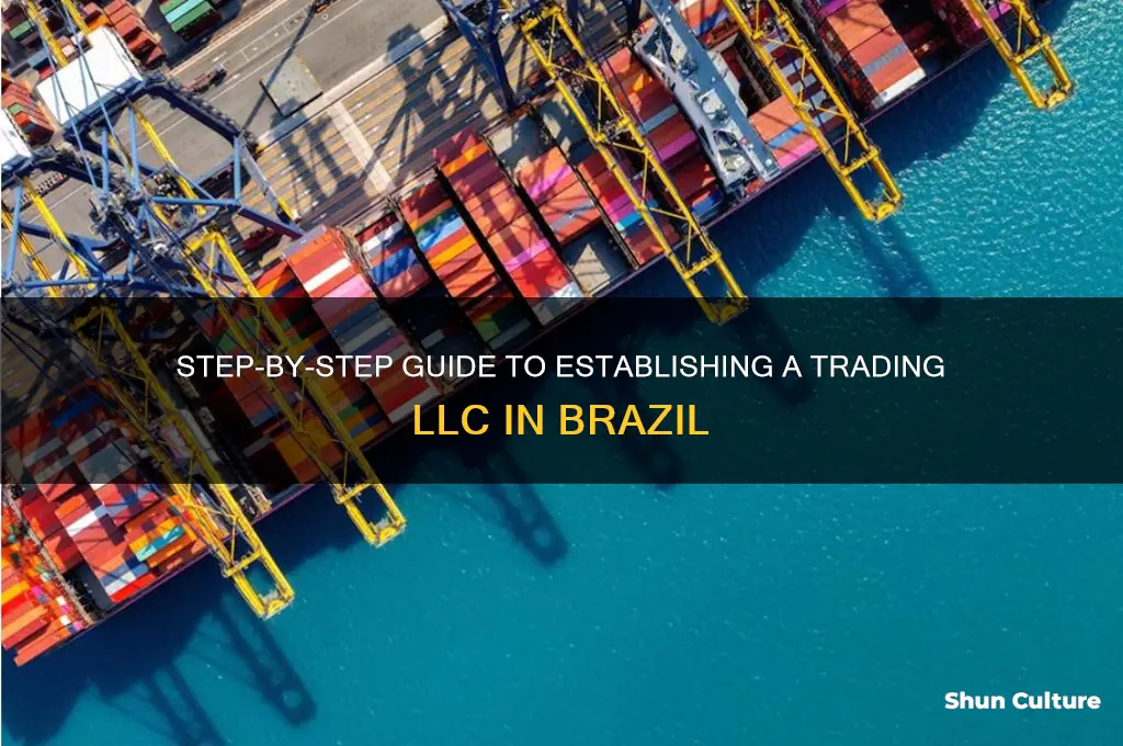 how to set up a trading llc in brazil