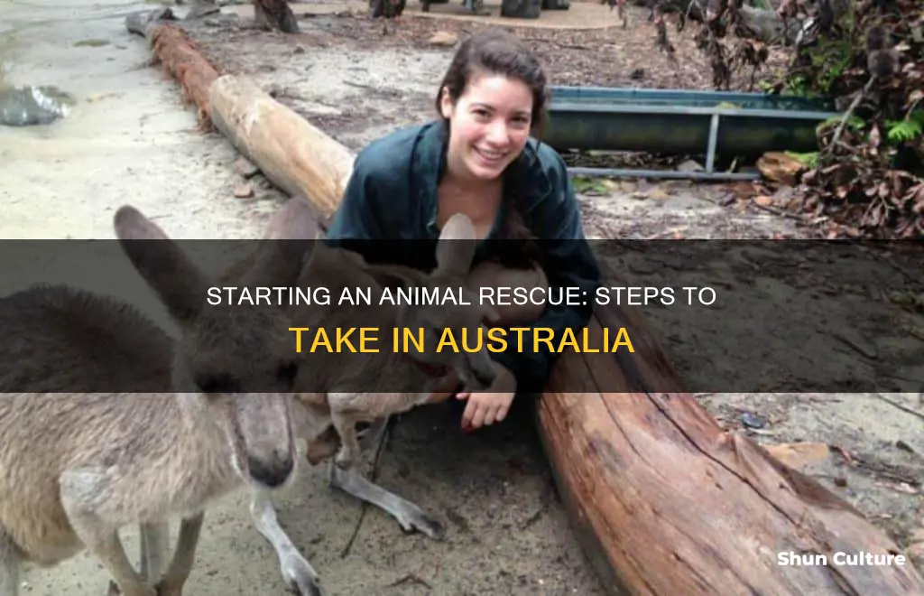 how to set up an animal rescue australia