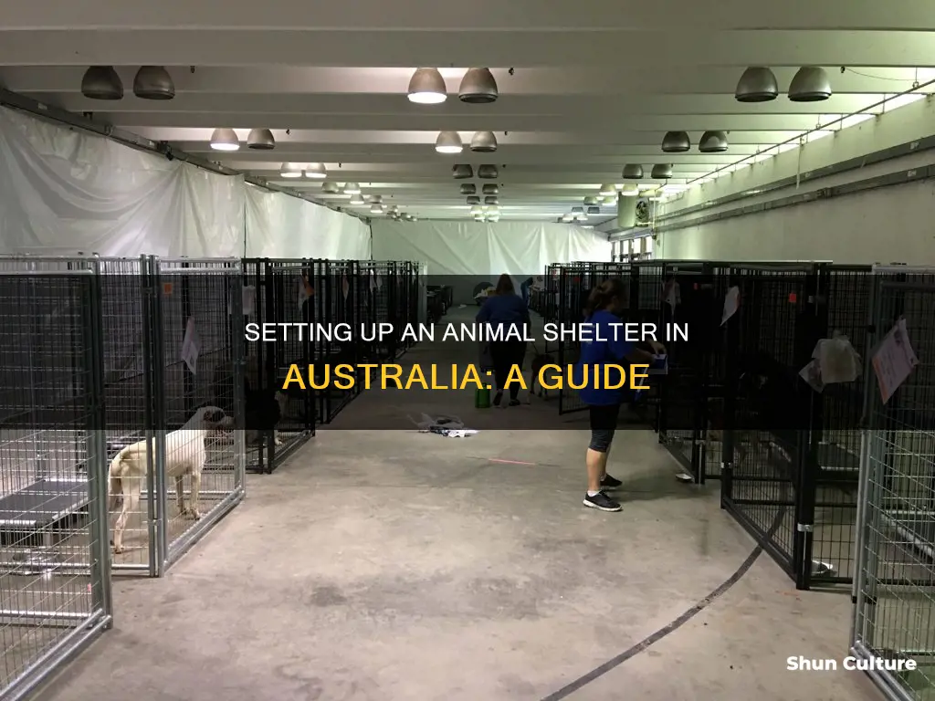 how to set up an animal shelter australia