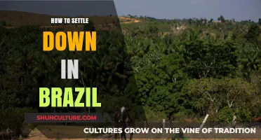 Settling in Brazil: A Comprehensive Guide to Starting Your New Life