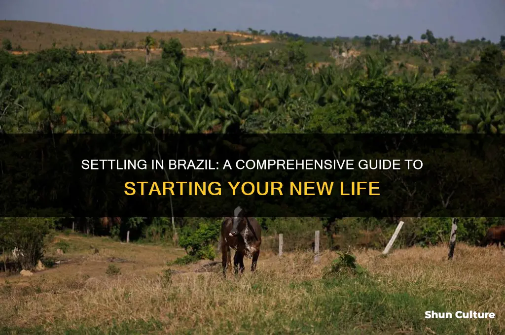 how to settle down in brazil