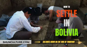 Settling in Bolivia: A Beginner's Guide to Living