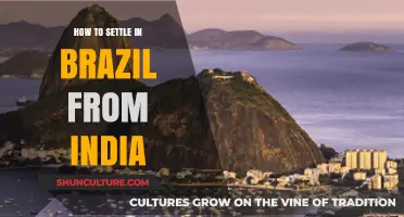 Moving to Brazil from India: A Comprehensive Guide to Settling In