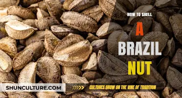 Master the Art of Shelling Brazil Nuts: Quick and Easy Tips