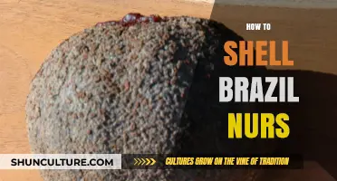 Mastering the Art of Shelling Brazil Nuts: A Step-by-Step Guide