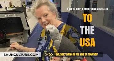 Shipping Birds: Australia to the USA