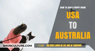 Shipping Puppies: USA to Australia
