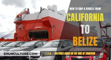 Shipping a Vehicle: California to Belize