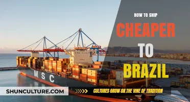 Smart Strategies for Affordable Shipping to Brazil: Save Big
