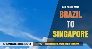 Shipping from Brazil to Singapore: A Comprehensive Guide for Smooth Delivery