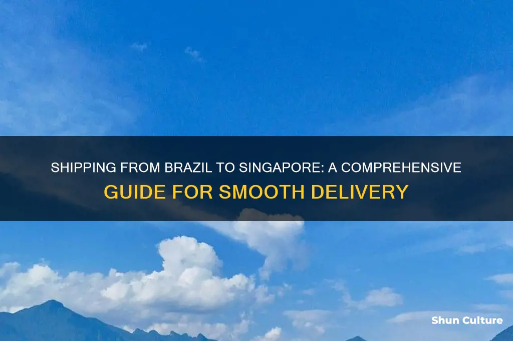 how to ship from brazil to singapore