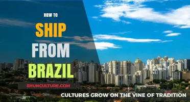 Shipping from Brazil: A Comprehensive Guide for International Logistics