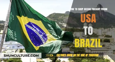 Shipping Ocean Freight from USA to Brazil: A Comprehensive Guide