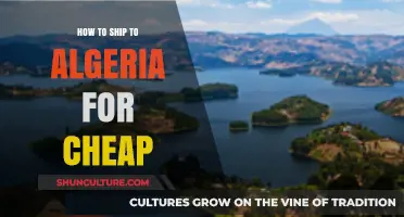 Affordable Shipping to Algeria: Cost-Effective Tips and Strategies