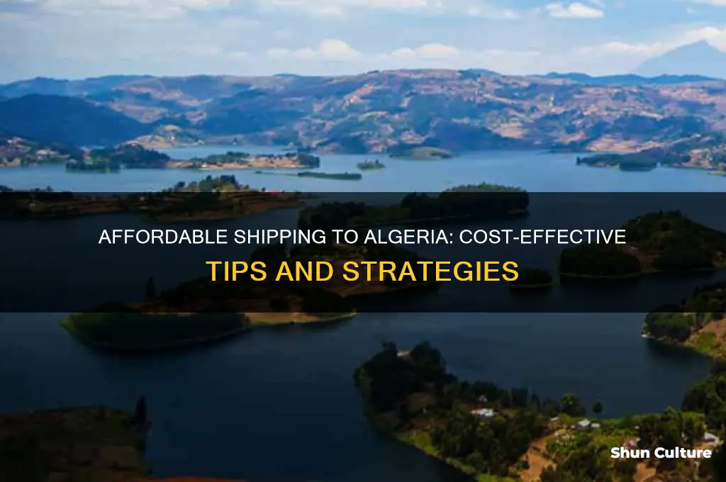how to ship to algeria for cheap